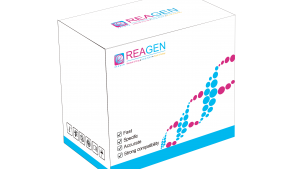 馬、驢源性恒溫核酸檢測試劑盒